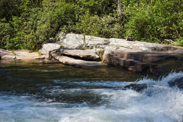 Dağ nehir ve şelaleler güneşli bir yaz. Üçlü Falls, Dupont eyalet ormanı, Nc, ABD