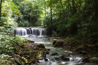 Güzel yüksek şelale orman yaz aylarında arasında. Şelale ve botanik Pearson'ın Falls, Saluda, Nc, ABD korumak