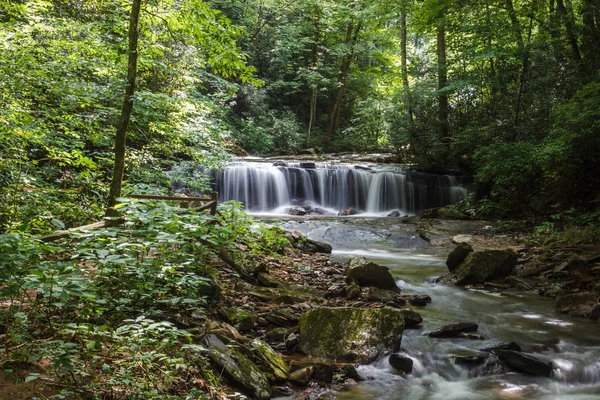 Bella Cascata Alta Tra Foresta Estate Cascata Preservazione Botanica Pearson — Foto Stock