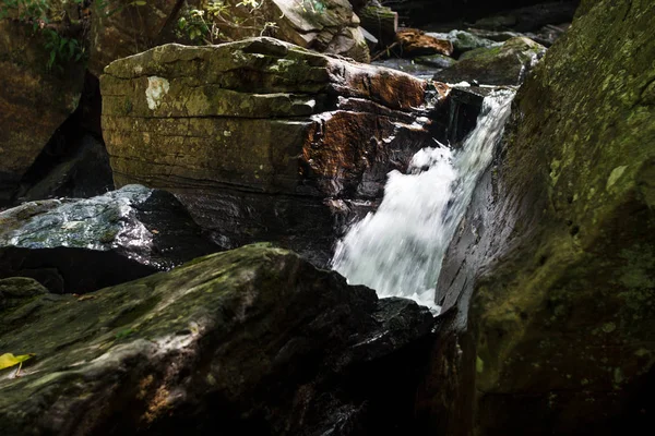 Grandi Pietre Rapido Corso Acqua Fiume Montagna Nella Foresta Estate — Foto Stock