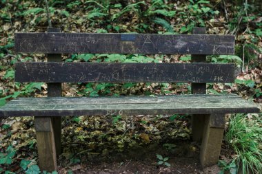 Parkta eski bir tahta tezgah birçok yazıtlar ile boyanmış