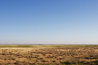 Geniş steplar, düz arazi açık bir mavi gökyüzüne karşı ufukta uzanır. Texas, Amerika 'da çayırlarda Kuru Çim