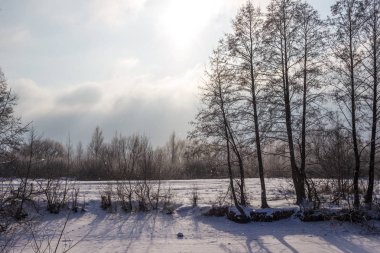 Sihirli kış manzara arka ışık içinde vurdu. Ağaçlar karla kaplı bir donmuş nehir kıyısında durmak, Güneş parlıyor, kar ve güneş ışınlarının içinde shimmers