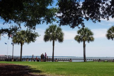 İnsanlar dinlenmek ve fon ve palmiye ağaçlarının ve bir çeşme bir güneşli yaz gününde karşı güzel bir parkta yürümek. Joe Riley Waterfront Park. Charleston, Sc / ABD - 21 Temmuz 2018