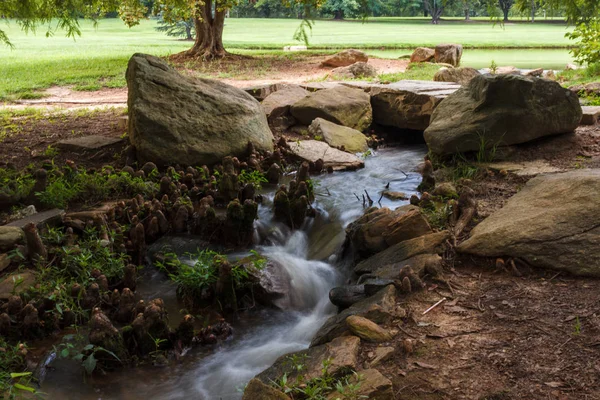 Beautiful park with a small river with stones. A stream with stones on the shore is rapidly running in the forest. Landscaping. Park Milliken Arboretum, Spartanburg, South Carolina, USA