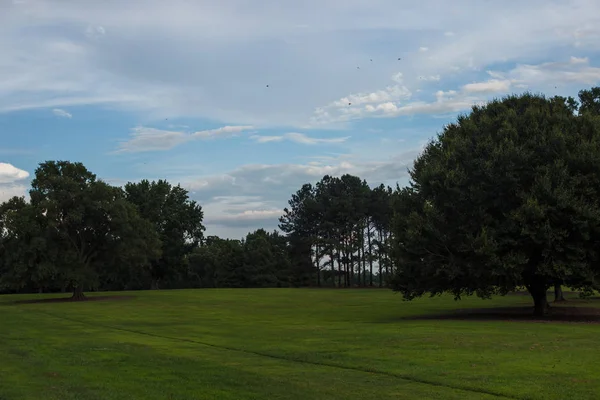 Парк Гладким Зеленым Газоном Красивыми Деревьями Живописными Облаками Красивые Облака — стоковое фото