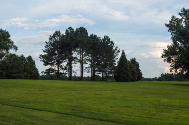 Park pürüzsüz bir yeşil çim, güzel ağaçlar ve pitoresk bulutlar. Yaz orman üzerinde gökyüzü güzel bulutlarda. Çevre düzenlemesi. Park Milliken Botanik Bahçesi, Spartanburg, Güney Karolina, ABD