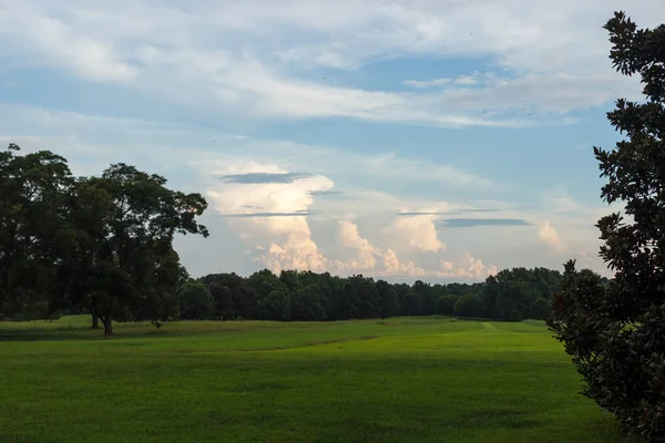 Parque Com Gramado Verde Suave Belas Árvores Nuvens Pitorescas Lindas — Fotografia de Stock