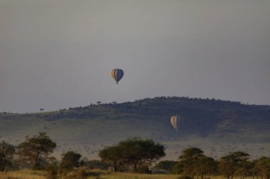 Serengeti Nationakl Park ve Ngorongoro koruma alanı, Tanzanya