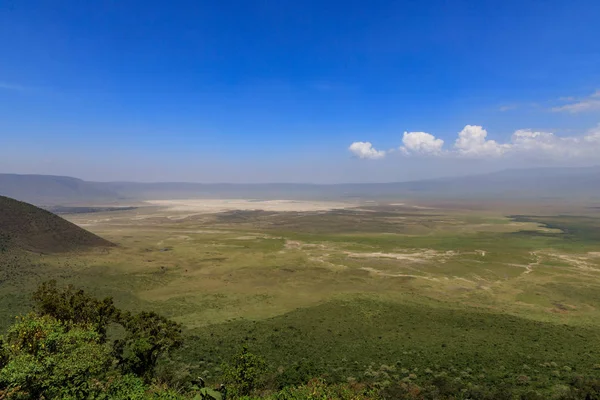 Serengeti Nationakl Park Ngorongoro Koruma Alanı Tanzanya — Stok fotoğraf
