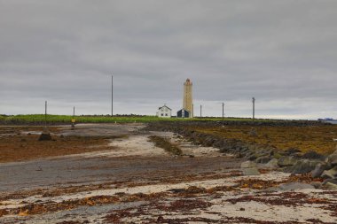 Reyjavik İzlanda - kuş Sanctuary