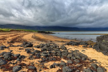 Malarrif deniz feneri Oceanside İzlanda