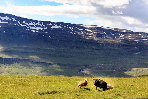 Blaues Eisbachtal Mit Blick Den Seyjisfur Island Der Nähe Des — Stockfoto