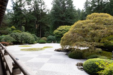 Rock Bahçe ağaçları ve sonbahar renkleri