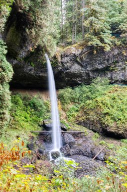 Sonbahar renkleri, şelaleler, uzun pozlama, sonbahar renkleri, Oregon