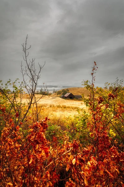 Oregon Erba Giallo Arancio Con Skirs Nuvoloso Terreni Agricoli Caduta — Foto Stock