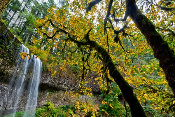 Herbstfarben Wasserfälle Langzeitbelichtung Herbstfarben Oregon — Stockfoto