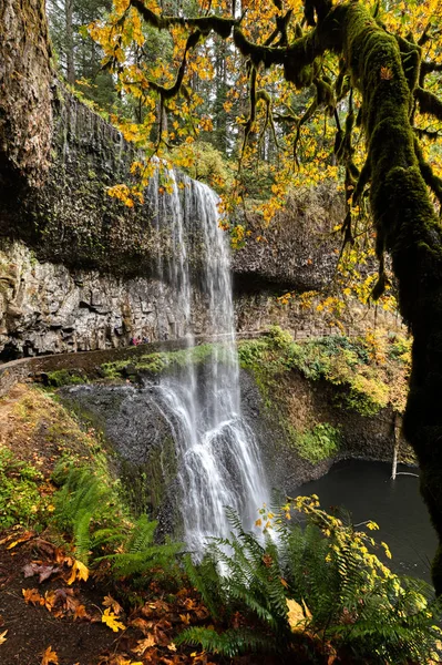 Sonbahar Renkleri Şelaleler Uzun Pozlama Sonbahar Renkleri Oregon — Stok fotoğraf