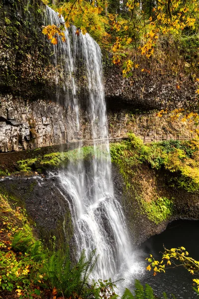 Падіння Кольори Водоспади Довгою Витримкою Кольору Осені Орегон — стокове фото