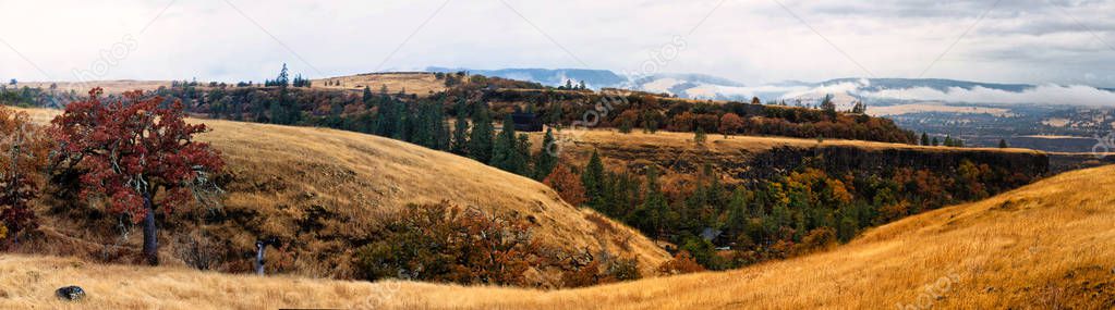 Oregon, orange yellow grass with cloudy skirs farmland fall colors on trees