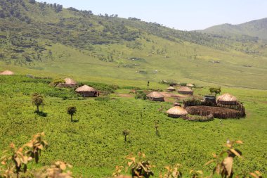 Ndutu Serenegti ve Ngorongoro Safari 2019