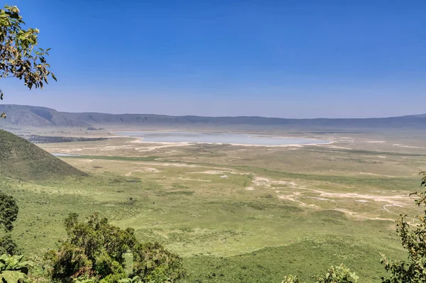 Ndutu serenegti und ngorongoro safari 2019 — Stockfoto