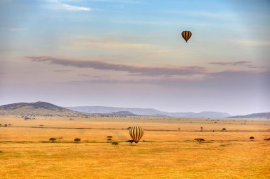 Ndutu Serenegti ve Ngorongoro Safari 2019