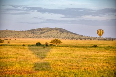 Ndutu Serenegti ve Ngorongoro Safari 2019