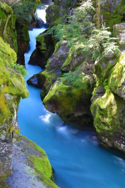Sedir Yolu - Çığ Deresi