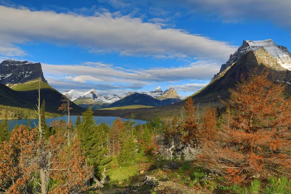 Parque Nacional Glaciar Goose Island ViewPoint — Foto de Stock