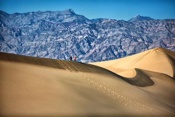 Sand Dunes Death Valley — Stock Photo, Image