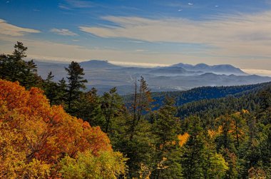 Sandia Zirvesi New Mexico Peyzaj Ağaçları Sonbahar Renkleri