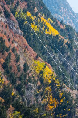 Sandia Zirvesi New Mexico Peyzaj Ağaçları Sonbahar Renkleri