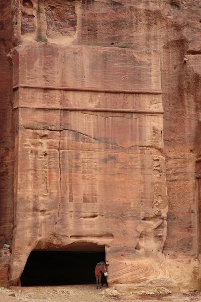 Petra Jordan Treasury Ancient Civilization — Stock Photo, Image