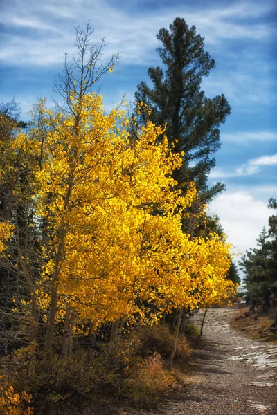 Сандия Пик Нью Мексико Пейзажи Осенние Цвета — стоковое фото