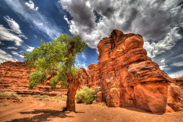 Parque Nacional Arches Utah Parque Nacional Canyonlands Puntos Grand View — Foto de Stock