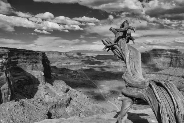 犹他州拱门国家公园坎尼兰德国家公园 大视点 宏观射击 — 图库照片