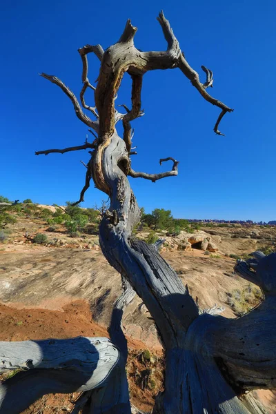 Parque Nacional Arches Utah Parque Nacional Canyonlands Puntos Grand View — Foto de Stock