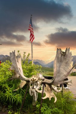 Alaska, Denali Ulusal Parkı, Denali Dağı, Ayılar, Geyik, Geyik, Vahşi Yaşam, Manzara, Günbatımı, Buzul Dağları
