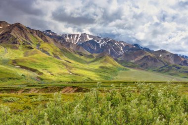 Alaska, Denali Ulusal Parkı, Denali Dağı, Ayılar, Geyik, Geyik, Vahşi Yaşam, Manzara, Günbatımı, Buzul Dağları