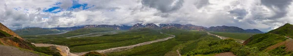 Alaska Parco Nazionale Denali Monte Denali Orsi Alce Oca Fauna — Foto Stock