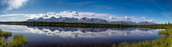 Wrangell Elias Glacier Mountains Denali Highway Wildlife Bears Elk Moose — Stock Photo, Image