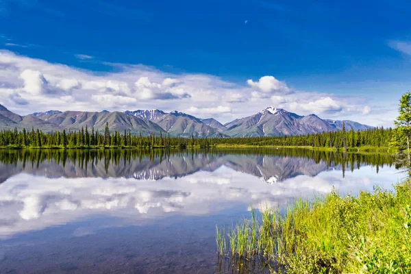 Wrangell Elias Glaciar Montañas Carretera Denali Vida Silvestre Osos Alces — Foto de Stock