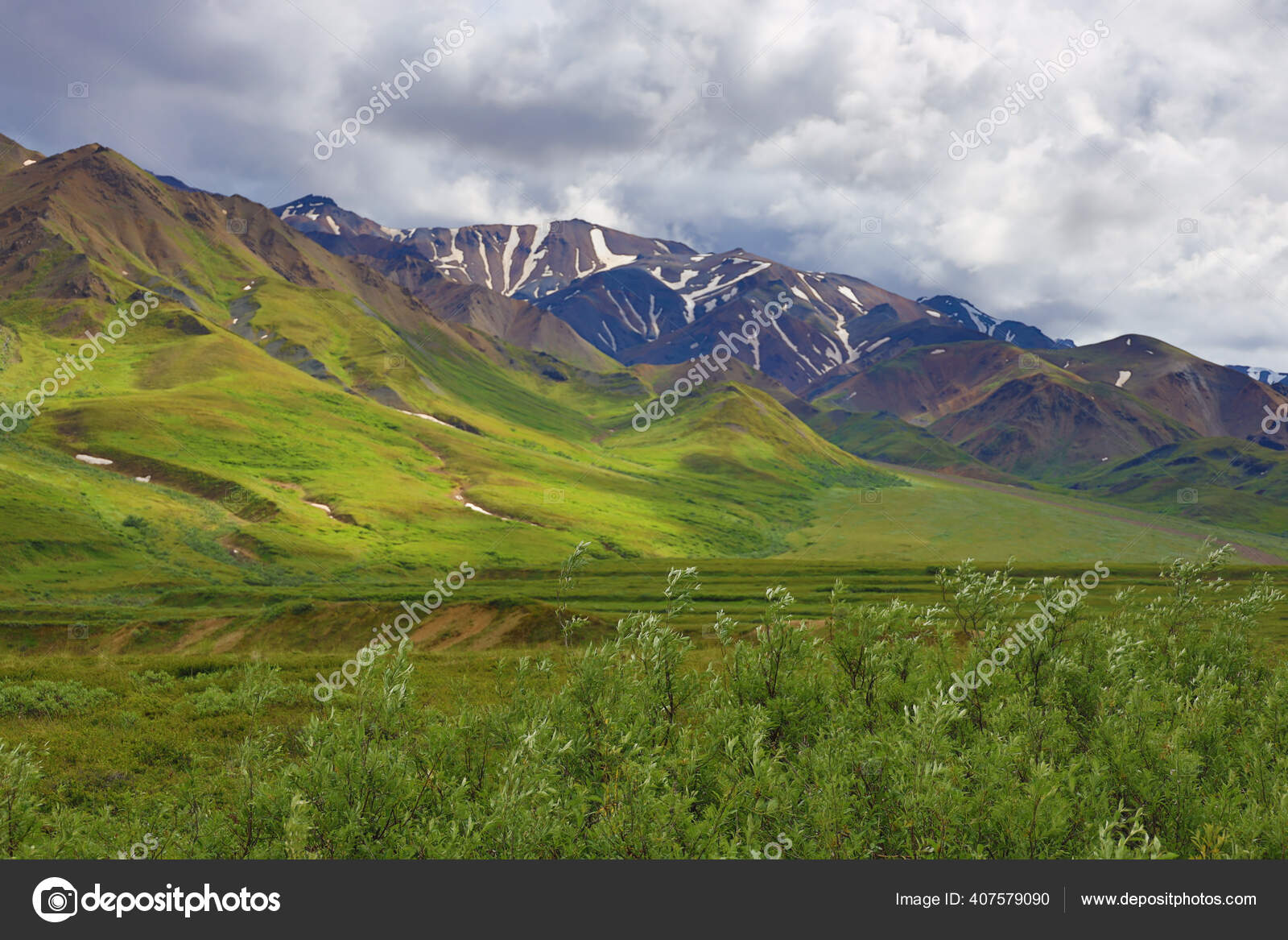 ポートフォリオ Theraja ストック写真 イラストとベクターアート Depositphotos