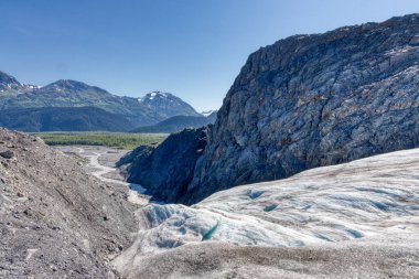 Günbatımı, Dağlar, Alaska, Seward, Homer, Çıkış Buzulu, Balinalar, Puffinler, Su samurları, Kel Kartallar, Okyanus, Balıkçılık