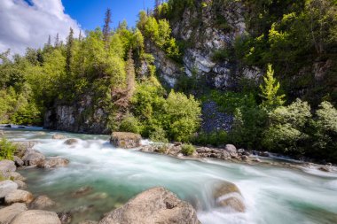 Matanuska Buzulu, Denali, Seward, Wrangell St Elias Dağları, Panorama, Vahşi Yaşam