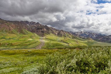 Alaska, Denali Ulusal Parkı, Denali Dağı, Ayılar, Geyik, Geyik, Vahşi Yaşam, Manzara, Günbatımı, Buzul Dağları