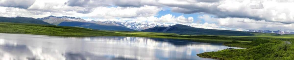 Wrangell Elias Glaciar Montañas Carretera Denali Vida Silvestre Osos Alces — Foto de Stock
