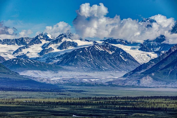 Wrangell Elias Glaciar Montañas Carretera Denali Vida Silvestre Osos Alces — Foto de Stock