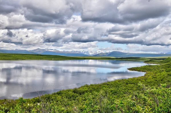 Wrangell Elias Παγετώνας Βουνά Denali Highway Άγρια Ζωή Αρκούδες Ελάφι Φωτογραφία Αρχείου